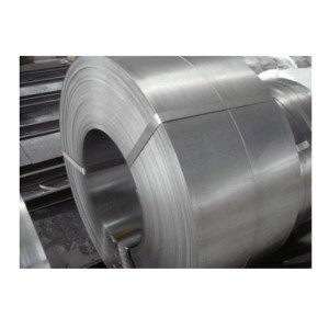 TOLE GALVANISEE1
